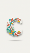 Coral reef tropical initial cruise magnet