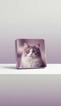 Pet Photo Magnet in Soft Matte Texture